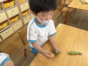けんちゃん