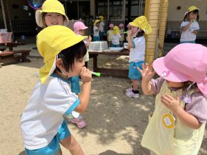 すみれ3