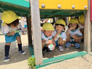 すみれぐみ5