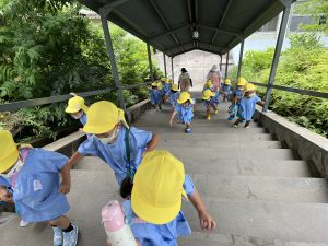 長い階段