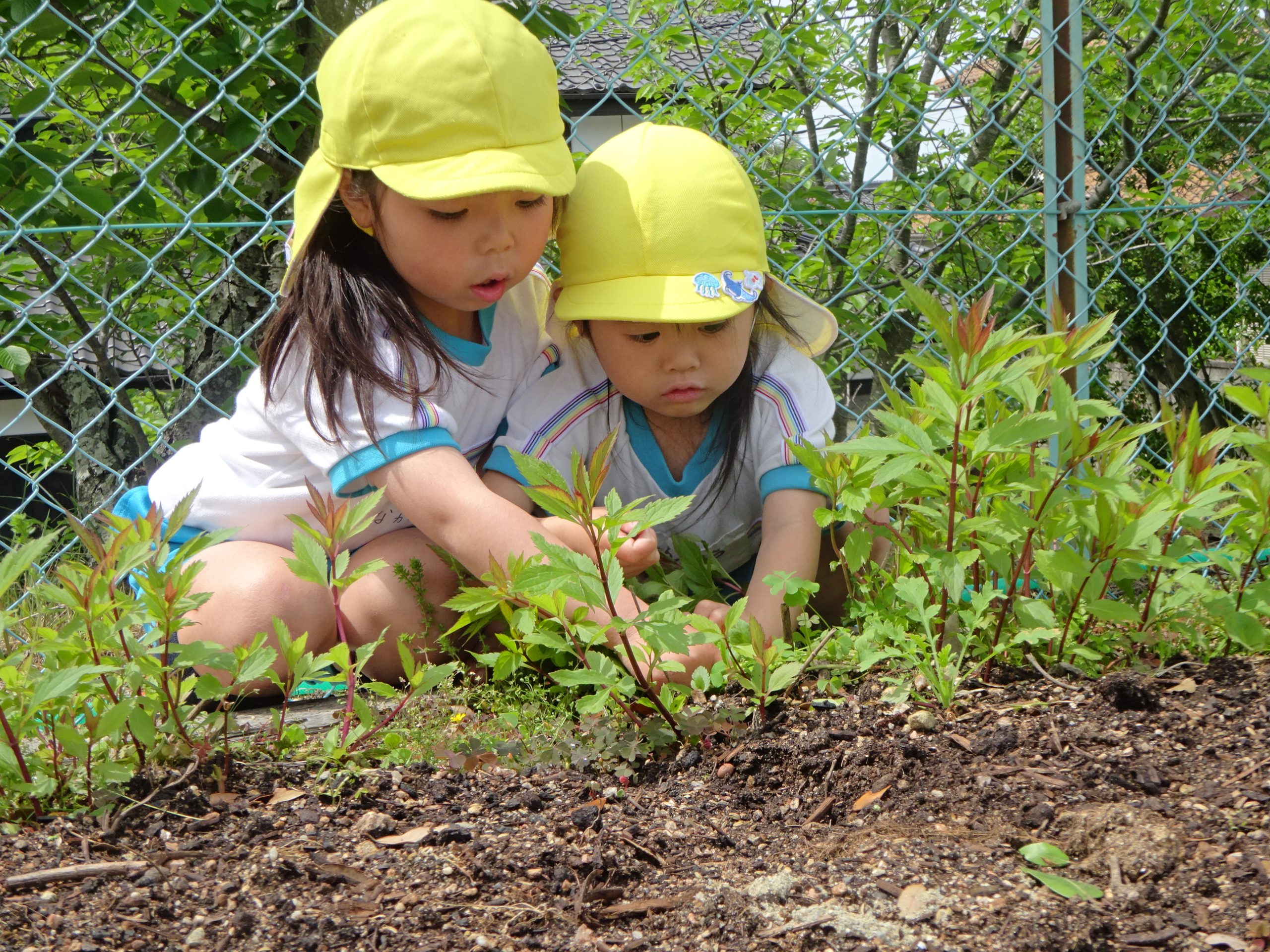  心豊かで思いやりのある子ども